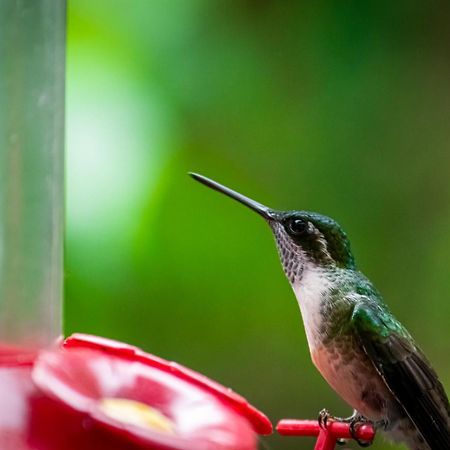 San Lucas Sacatepéquez Casa Carolinaゲストハウス エクステリア 写真