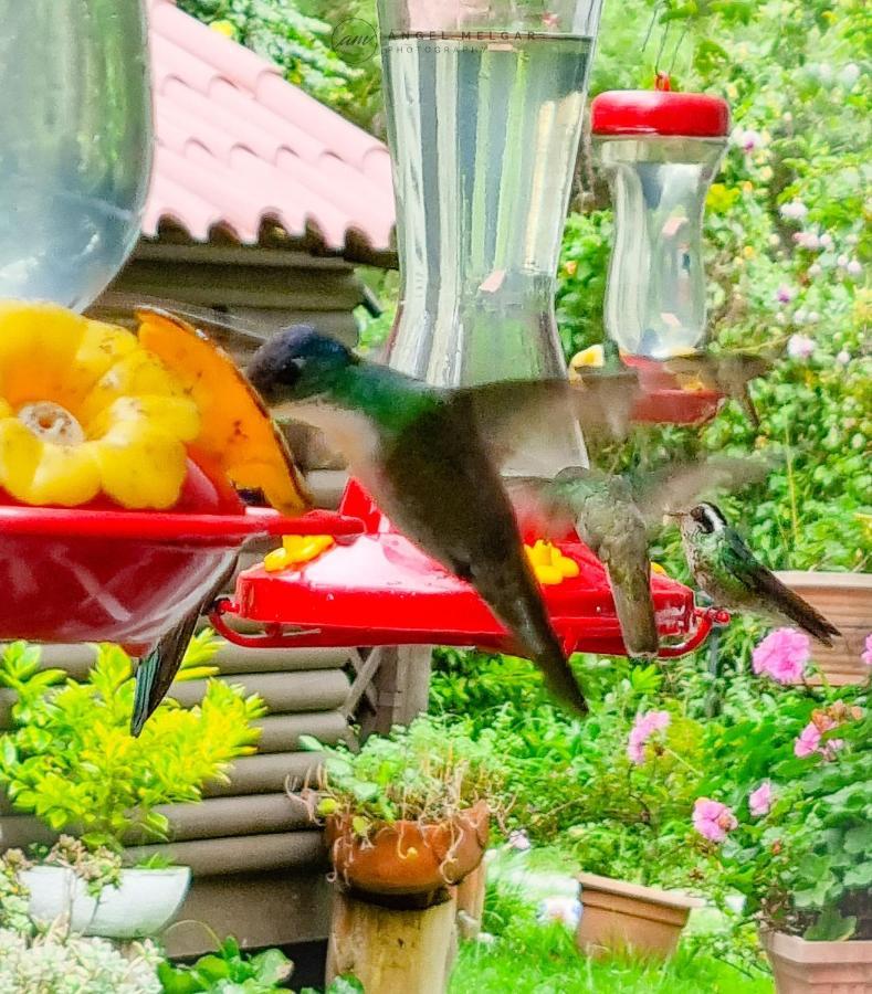 San Lucas Sacatepéquez Casa Carolinaゲストハウス エクステリア 写真